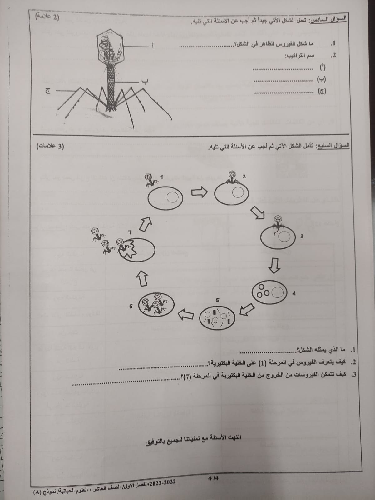 بالصور امتحان مادة العلوم الحياتية الاحياء النهائي للصف العاشر الفصل الاول 2022 نموذج A وكالة